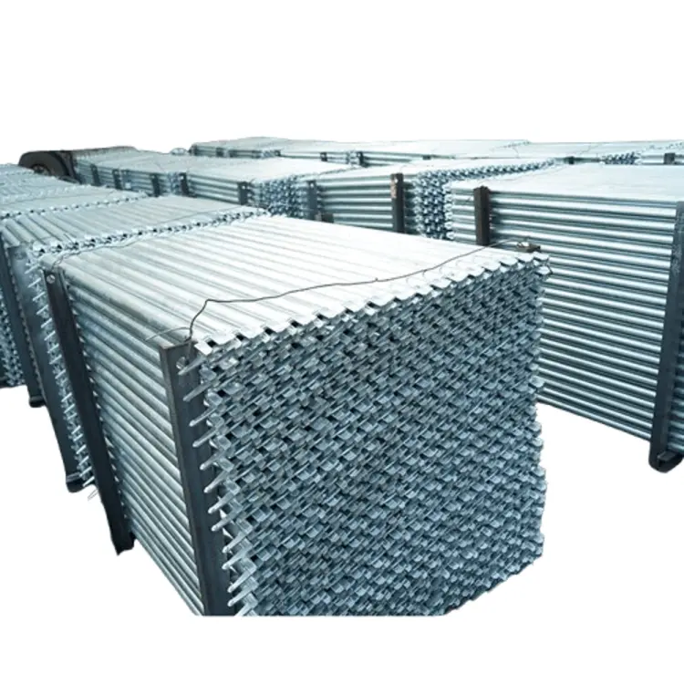 photobank-6-removebg-preview (1).png